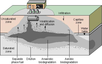 Graphic: a cross section view of an underground oil tank with biodegradation below it